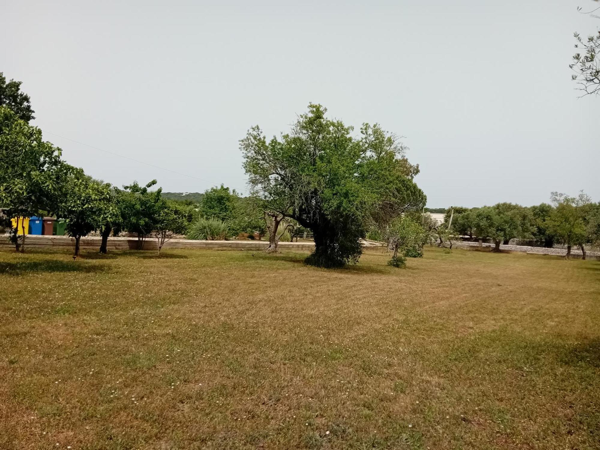 Villa Il Leccio - Trulli 치스테르니노 외부 사진